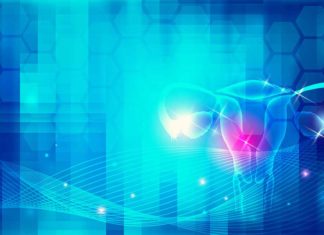 Uterine NKCs Play Key Role in Miscarriage Risk: Study Uterine NKCs Play Key Role in Miscarriage Risk: Study