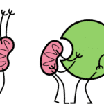 Cellular Debris-Removal System Might be Fuelling Tumours