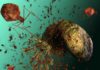 Viruses Share Genes with Organisms across the Tree of Life: Study Viruses Share Genes with Organisms across the Tree of Life: Study