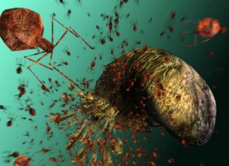 Viruses Share Genes with Organisms across the Tree of Life: Study Viruses Share Genes with Organisms across the Tree of Life: Study