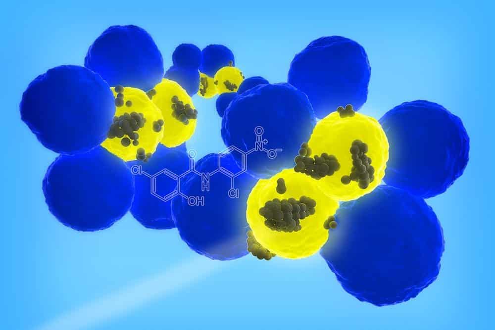 Drug-Laden Nanoparticles Hunt and Eliminate Cancer Stem Cells