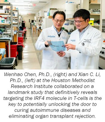 Study Reveals Pathway to Targeting Master Regulator of T-Cell Function