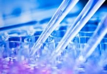 Roche & Ionis Huntington’s Drug Shows Huge Capabilities in Early Trial Biological Sciences Clinical Data Position Vacant @ IQVIA