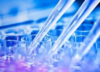 Roche & Ionis Huntington’s Drug Shows Huge Capabilities in Early Trial Biological Sciences Clinical Data Position Vacant @ IQVIA