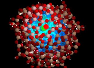 Designer Nanoparticles Equipped to Combat Deadly Viruses Designer Nanoparticles Equipped to Combat Deadly Viruses