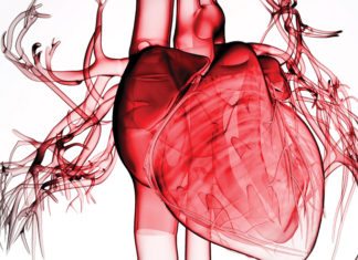 Heart-In-A-Jar to Test New Drugs