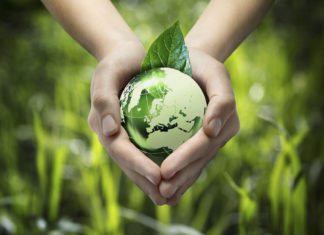 Novel Photosynthesis Mimicking Device Could Pave Way for Greener Plastics Novel Photosynthesis Mimicking Device Could Pave Way for Greener Plastics