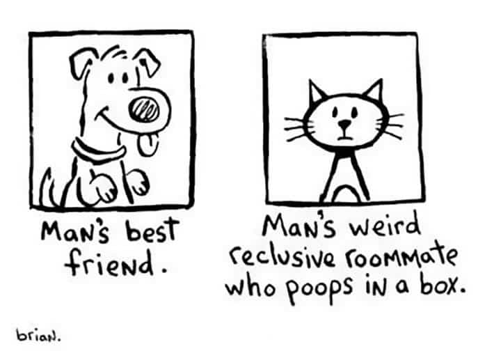 The Debates’ Settled People- Dogs are officially, the Smartest