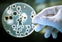Living Ink: Researchers Develop Biocompatible Ink for 3D-Printing Using Living Bacteria