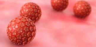 ISA Pharmaceuticals Announce I-O Collab Against HPV-related Cancer