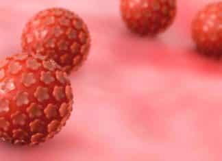 Regeneron, ISA Pharmaceuticals Announce I-O Collab Against HPV-related Cancer ISA Pharmaceuticals Announce I-O Collab Against HPV-related Cancer
