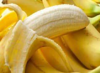 J&K Goes Bananas: IIIM, CSIR Joint Endeavour Allows for Successful Cultivation for First time in the Region IIIM, CSIR Joint Endeavour Allows for Successful Cultivation