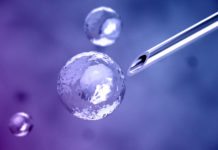 Dormant Stem Cells Could be Key to Remedying Brain Damage Biosciences Candidates Apply Online @ Thermo Fisher