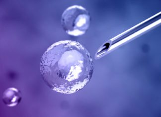 Stem Cell-Aided Study of Alzheimer’s Proteins Points to New Therapeutic Approach Biosciences Candidates Apply Online @ Thermo Fisher