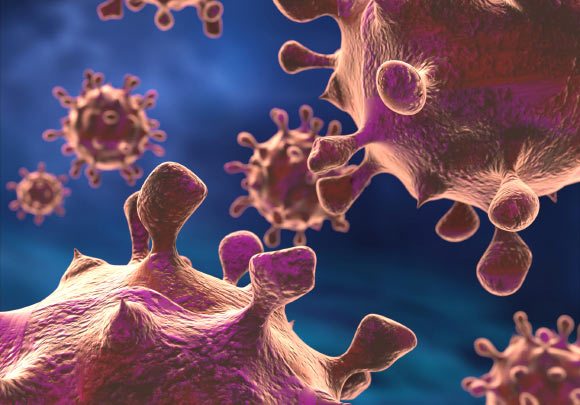 Viruses Share Genes with Organisms across the Tree of Life: Study