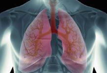 PuLMo: An Artificial Lung in Development for Safe Drug Testing PuLMo: An Artificial Lung in Development for Safe Drug Testing