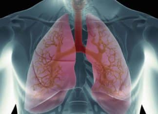 PuLMo: An Artificial Lung in Development for Safe Drug Testing PuLMo: An Artificial Lung in Development for Safe Drug Testing