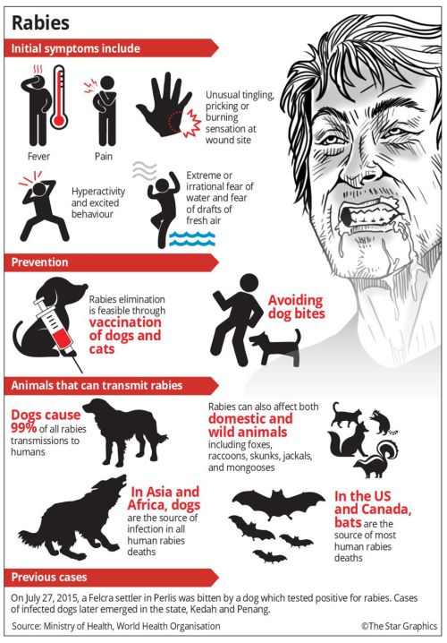 A Coordinated Approach is putting a Stop to the Spread of Rabies in Nepal