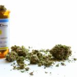 Ratan Tata, Google India MD Rajan Anandan Back India’s First Medical Marijuana Research Firm Ratan Tata,Google India MD Back India’s 1st Medical Marijuana Research