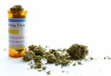 Ratan Tata, Google India MD Rajan Anandan Back India’s First Medical Marijuana Research Firm Ratan Tata,Google India MD Back India’s 1st Medical Marijuana Research