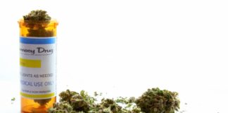 Ratan Tata,Google India MD Back India’s 1st Medical Marijuana Research