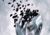 Major Cause of Dementia