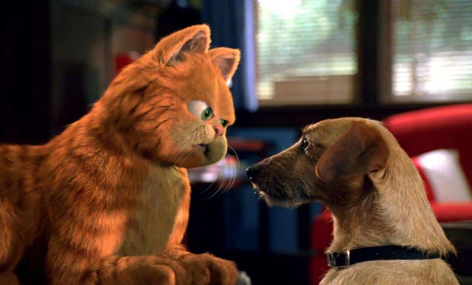 The Debates’ Settled People- Dogs are officially, the Smartest