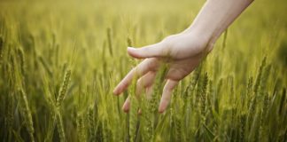 A Complete Look at the Protein behind Sense of Touch