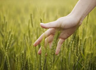 A Complete Look at the Protein behind Sense of Touch A Complete Look at the Protein behind Sense of Touch