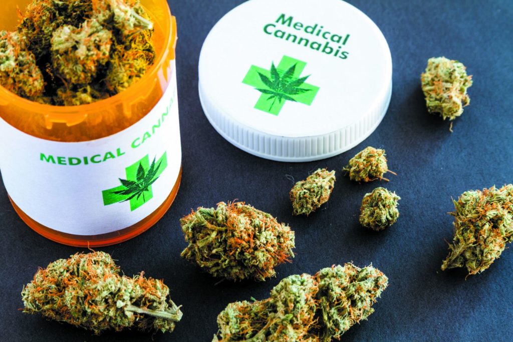 Ratan Tata, Google India MD Back India’s First Medical Marijuana Research Firm