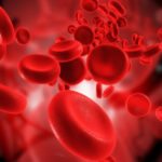 Scientists Discover Switch that Initiates Conversion of Blood Cells to Stem Cells MSc Life Sciences Research Fellow Position @ NII