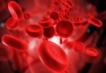 Scientists Discover Switch that Initiates Conversion of Blood Cells to Stem Cells MSc Life Sciences Research Fellow Position @ NII