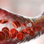 Multifunctional Protein found to be Critical for Blood Cell Development