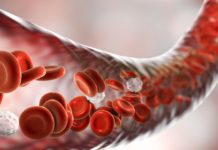 Multifunctional Protein found to be Critical for Blood Cell Development Multifunctional Protein found to be Critical for Blood Cell Development