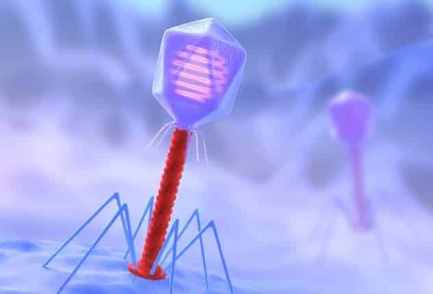 Viruses Share Genes with Organisms across the Tree of Life: Study