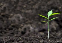 Disrupting the Environment of Soil Microbes Might Worsen Climate Change RA & JRF Posts for MSc Candidates @ ICAR-IARI