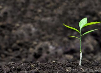 Disrupting the Environment of Soil Microbes Might Worsen Climate Change RA & JRF Posts for MSc Candidates @ ICAR-IARI