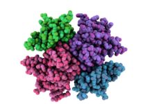 DNA 2.0 : Lab-originated Life form Produces Novel Proteins Protein Common Factor in Parkinson's and tuberculosis Unearthed