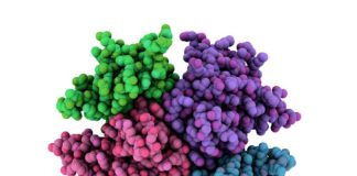 Protein Common Factor in Parkinson's and tuberculosis Unearthed