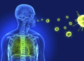 Yale Scientists Develop Simple Test to Identify Viral Infections Yale Scientists Develop Simple Test to Identify Viral Infections