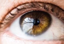 FDA Approves First Gene Therapy to Treat Rare Inherited Vision Loss FDA Approves First Gene Therapy to Treat Rare Inherited Vision Loss
