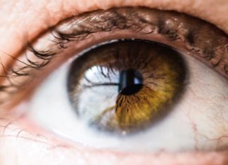 FDA Approves First Gene Therapy to Treat Rare Inherited Vision Loss FDA Approves First Gene Therapy to Treat Rare Inherited Vision Loss