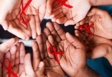 Gene-Edited Cells Cut Down HIV Risk in Non-Human Primates