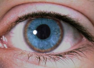 Wilson’s disease Drug Granted Fast Track Designation by the FDA Wilson’s disease Drug Granted Fast Track Designation by the FDA