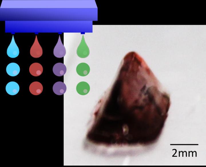 Drops of Bio-Ink Stick Together Enabling 3D Printing of Complex Biological Structures