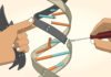 Super-Silenced Genes Allow For Enhanced Reprogramming of Cells Super-Silenced Genes Allow For Enhanced Reprogramming of Cells