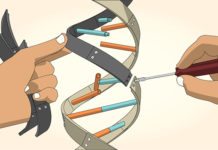 Super-Silenced Genes Allow For Enhanced Reprogramming of Cells Super-Silenced Genes Allow For Enhanced Reprogramming of Cells