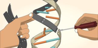 Super-Silenced Genes Allow For Enhanced Reprogramming of Cells