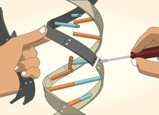 Super-Silenced Genes Allow For Enhanced Reprogramming of Cells Super-Silenced Genes Allow For Enhanced Reprogramming of Cells