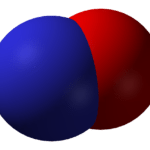 New Enzymes Critical for Cell Functioning Discovered